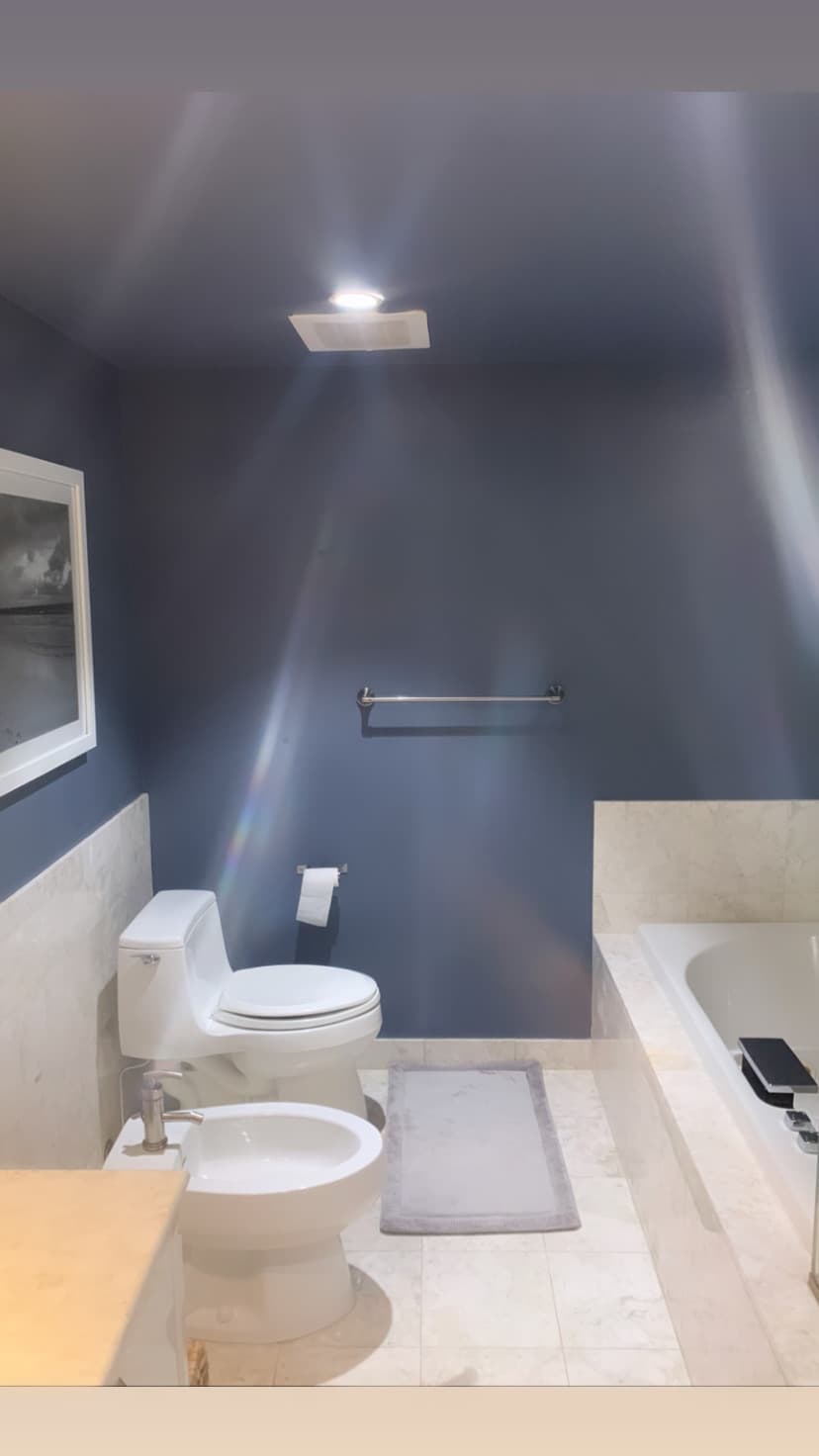 Professional painting project in Miami Beach