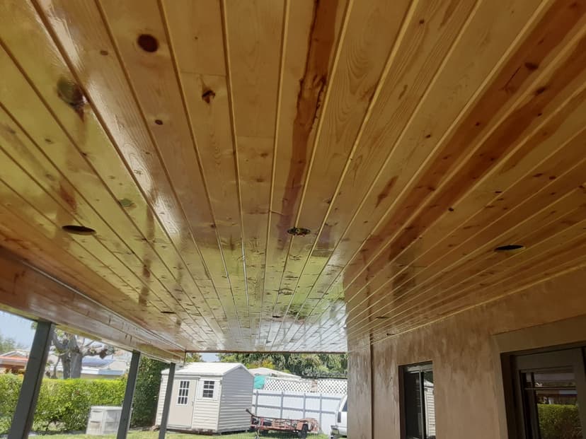 Professional painting project in Hialeah
